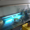 Laminar Flow hood with equipment